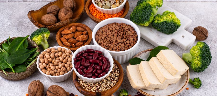 φυτικες πρωτεινες
